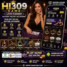 HI309 Game