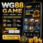 WG88 COM