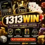 1313Win COM