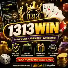 1313Win COM