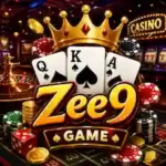 zee9 game