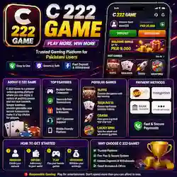 C 222 Game 
